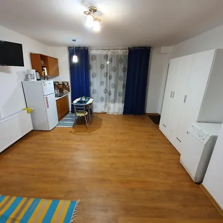 Apartament Balcescu 2 Timişoara