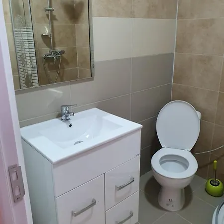 Apartament Balcescu 2 Timişoara